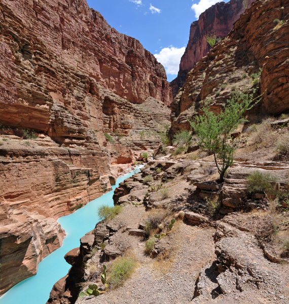 USA SW: Grand Canyon, Havasu Canyon, Havasu Canyon , Walkopedia