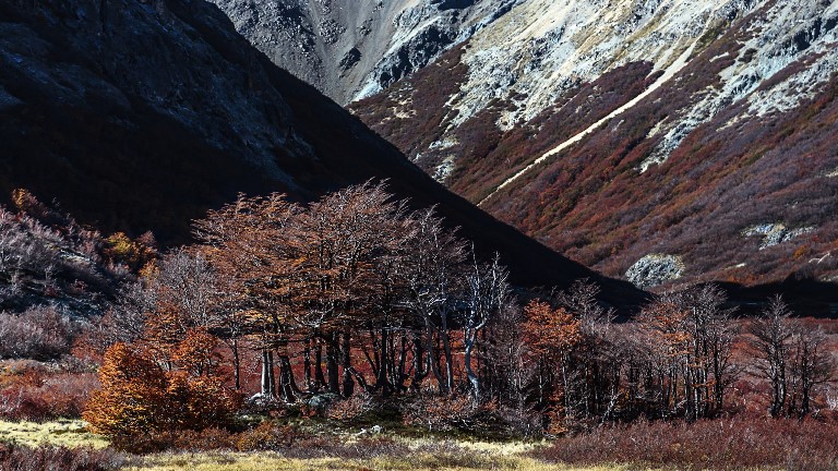 Nahuel Huapi Traverse, Argentina I Best world walks, hikes, treks