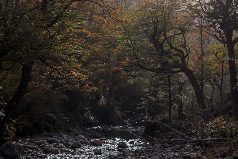 Nahuel Huapi Traverse, Argentina I Best world walks, hikes, treks