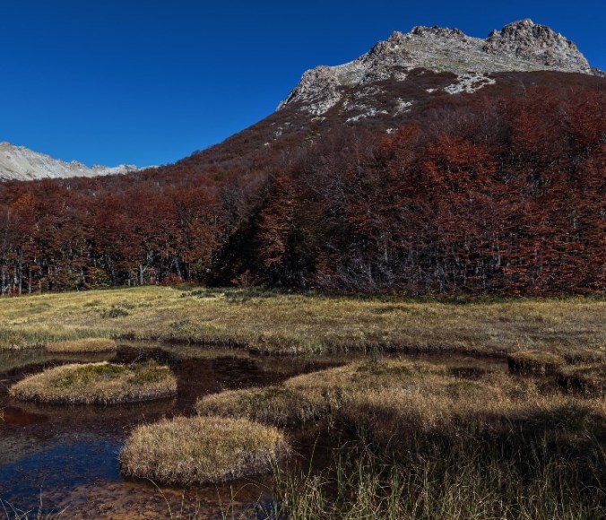 Argentina, Nahuel Huapi Traverse, , Walkopedia