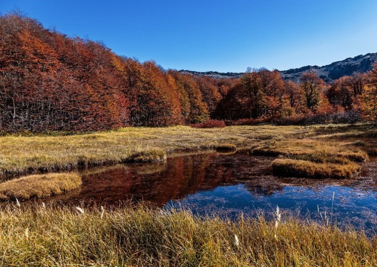 Nahuel Huapi Traverse, Argentina I Best world walks, hikes, treks