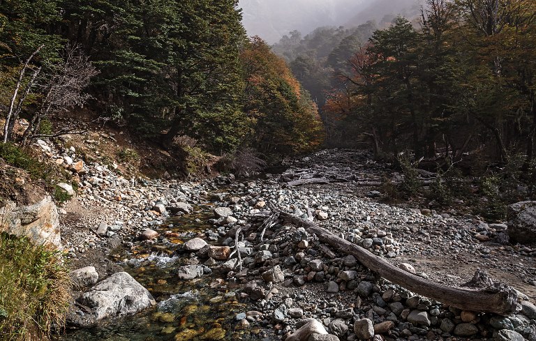 Argentina, Nahuel Huapi Traverse, , Walkopedia