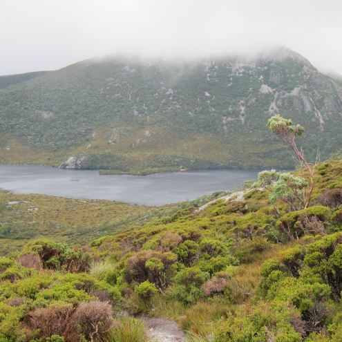 Australia Tasmania, Overland Track, Day 1 - Dove Lake, Walkopedia