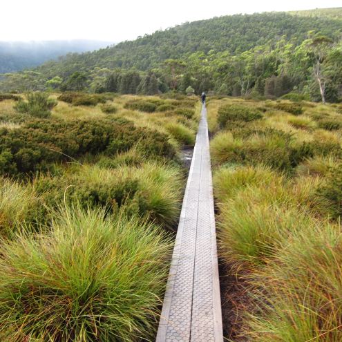 Australia Tasmania, Overland Track, Day 2 - Dead Straight, Walkopedia