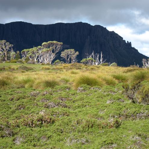 Australia Tasmania, Overland Track, Day 2 - Evening Light Mt Oakleigh 2, Walkopedia