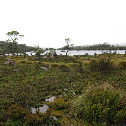 Australia Tasmania, Overland Track, Day 2 - Lake Windermere, Walkopedia