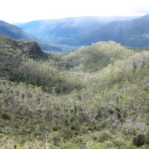 Australia Tasmania, Overland Track, Day 2 - Mersey Valley, Walkopedia