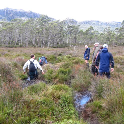 Australia Tasmania, Overland Track, Day 3 - Dear Leader Going in Deep, Walkopedia