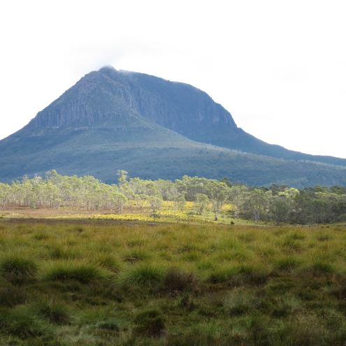 Australia Tasmania, Overland Track, Day 3 - ? From Pelion Plains, Walkopedia