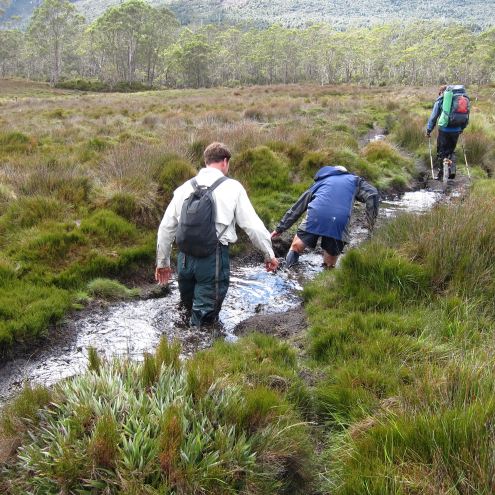 Australia Tasmania, Overland Track, Day 3 - Going Deep, Walkopedia