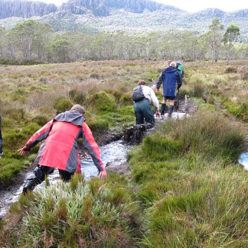 Australia Tasmania, Overland Track, Day 3 - Going Deep 2, Walkopedia