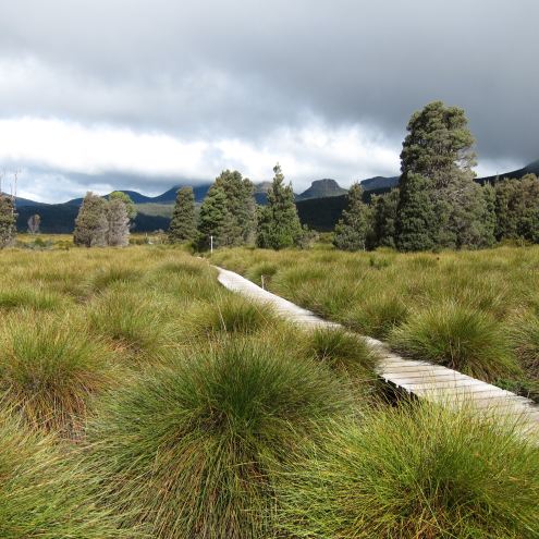 Australia Tasmania, Overland Track, Day 4 - Classic Boardwalk, Walkopedia