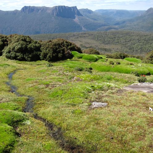 Australia Tasmania, Overland Track, Day 4 - ? From Doris Southward, Walkopedia