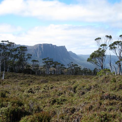 Australia Tasmania, Overland Track, Day 4 - ? From Pelion Gap, Walkopedia