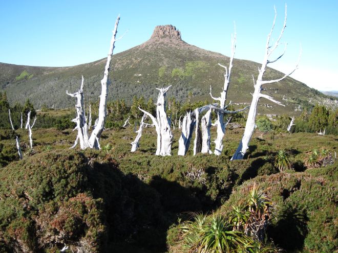 Australia Tasmania, Overland Track, Day 4 - Pelion East, Walkopedia