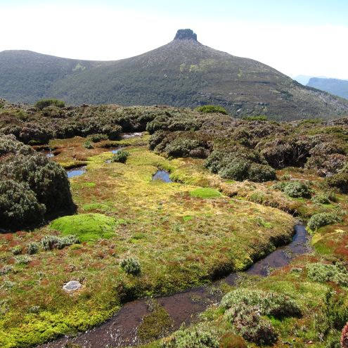 Australia Tasmania, Overland Track, Day 4 - Pelion East From Mt Doris, Walkopedia