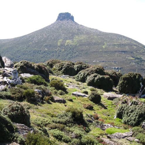 Australia Tasmania, Overland Track, Day 4 - Shrubland and Pelion East, Walkopedia