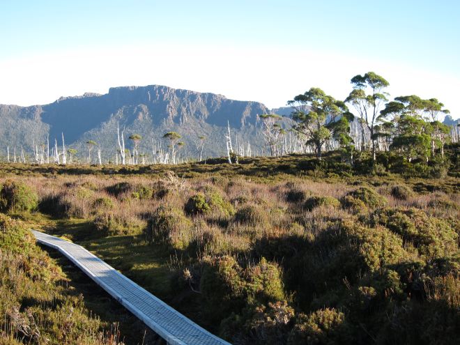 Australia Tasmania, Overland Track, Day 4 - South of Pelion Gap, Walkopedia