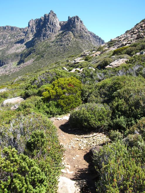 Australia Tasmania, Overland Track, Day 4 - The path to Ossa, Walkopedia