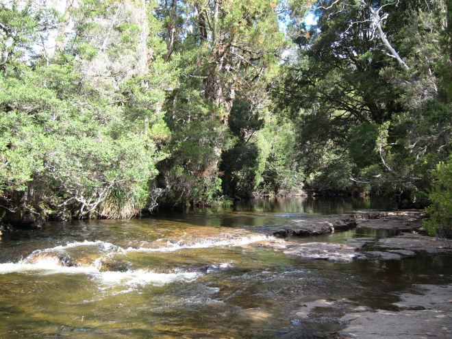 Australia Tasmania, Overland Track, Day 5 - Lunchtime, upper Mersey, Walkopedia