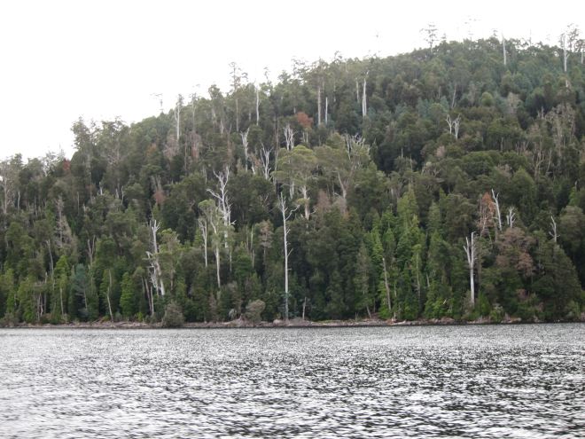 Australia Tasmania, Overland Track, Day 6 - Lake St Clair, Walkopedia