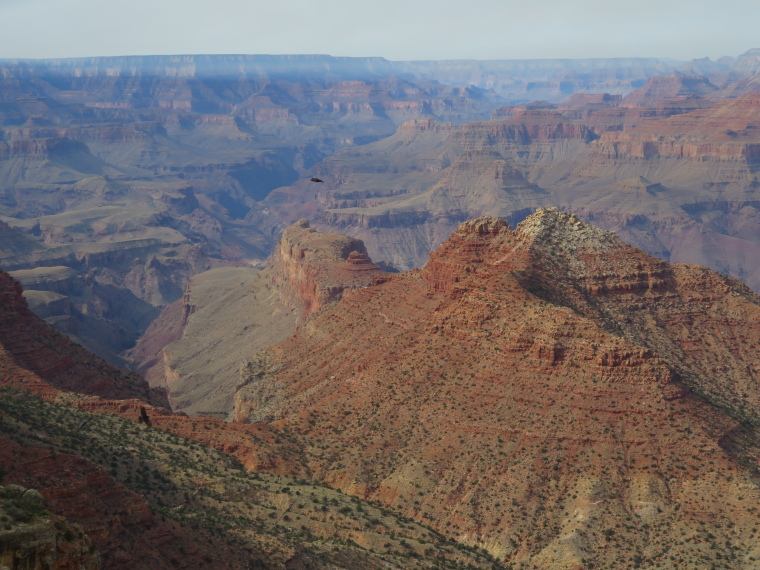 USA SW: Grand Canyon, Grand Canyon Hikes and Walks, West from Desert View lookout, Walkopedia