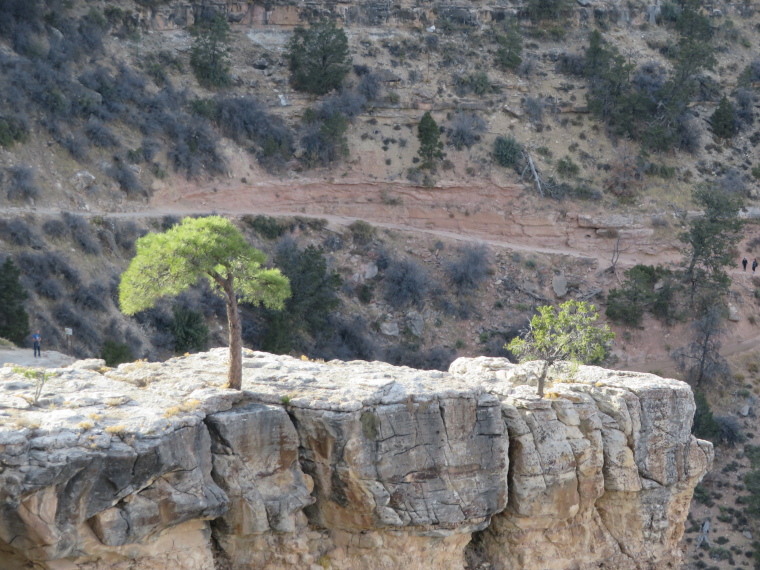 USA SW: Grand Canyon, Grand Canyon Hikes and Walks, Bright Angel trail, v top, Walkopedia