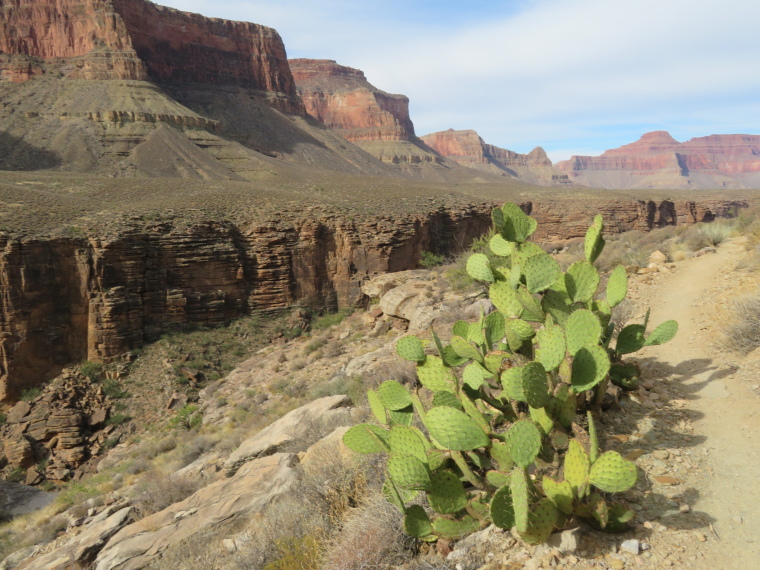 USA SW: Grand Canyon, Grand Canyon Hikes and Walks, North wall from inner plateau, Tonto Trail, Walkopedia
