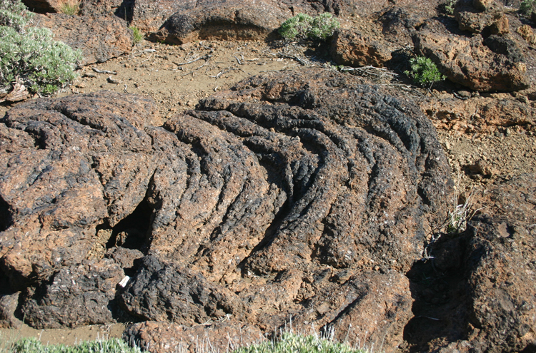 El Teide and Pico Viejo: Cowpat (rope lava) - ©William Mackesy