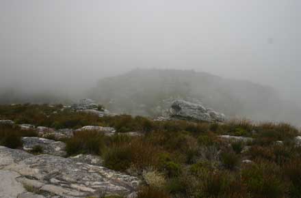 South Africa Western Cape Cape Area, Table Mountain, The top in the mist, Walkopedia