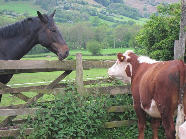 United Kingdom Wales Black Mountains, Black Mountains, , Walkopedia