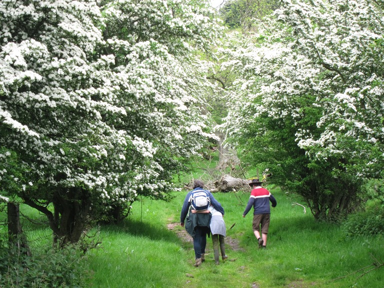 United Kingdom Wales Black Mountains, Black Mountains, , Walkopedia