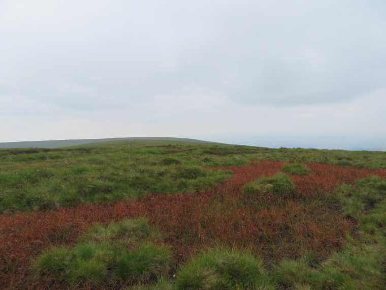 United Kingdom Wales Black Mountains, Black Mountains, Hatterrall ridge colours, Walkopedia