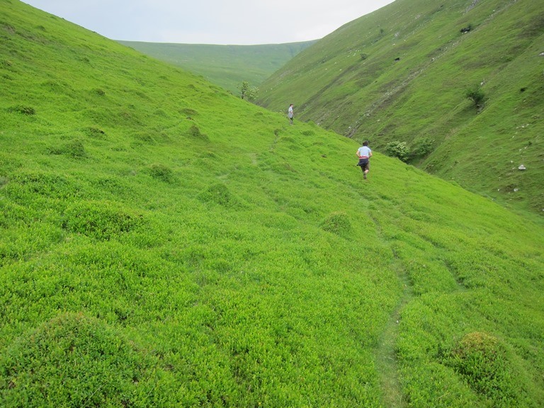 United Kingdom Wales Black Mountains, Castell Dinas and Rhiangoll Valley, , Walkopedia