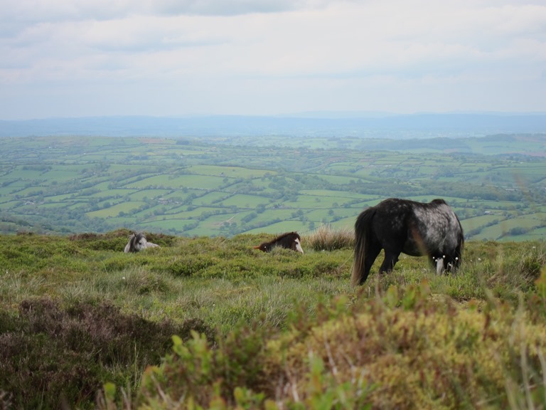 United Kingdom Wales Black Mountains, Hatterrall Ridge, East from Hatterrall Ridge, Walkopedia