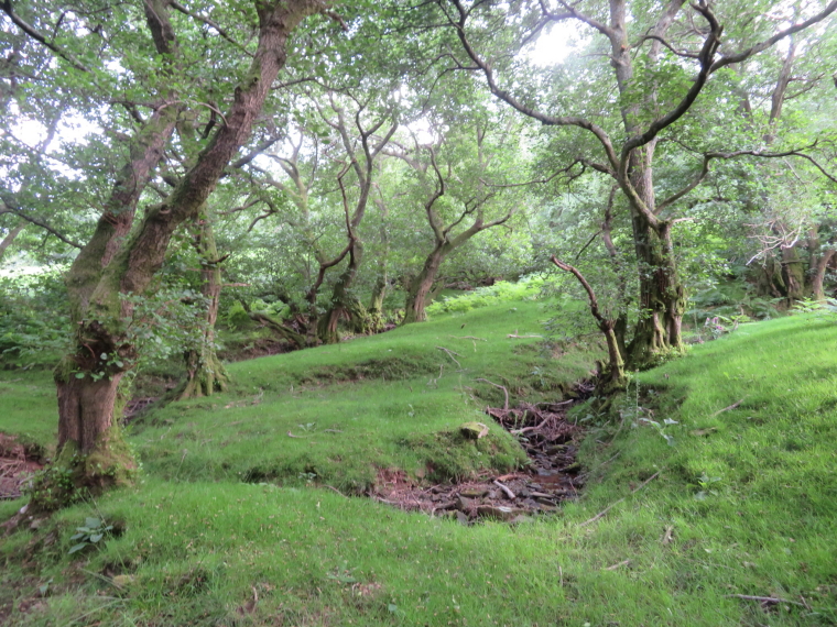 United Kingdom Wales Black Mountains, Hatterrall Ridge, Black Mountain flank, Walkopedia