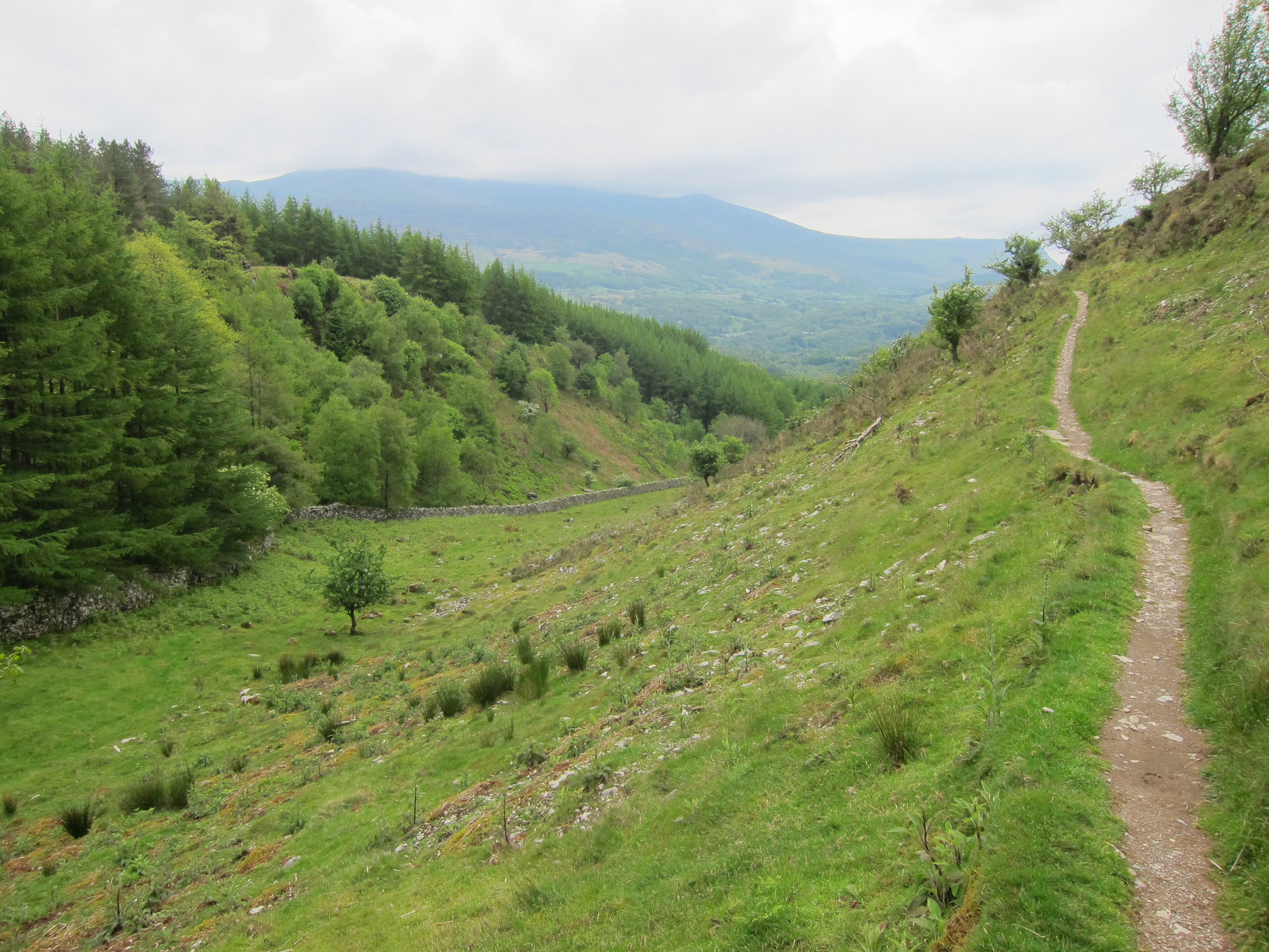 United Kingdom Wales Snowdonia, Mawddach/Dolgeallau Area, , Walkopedia