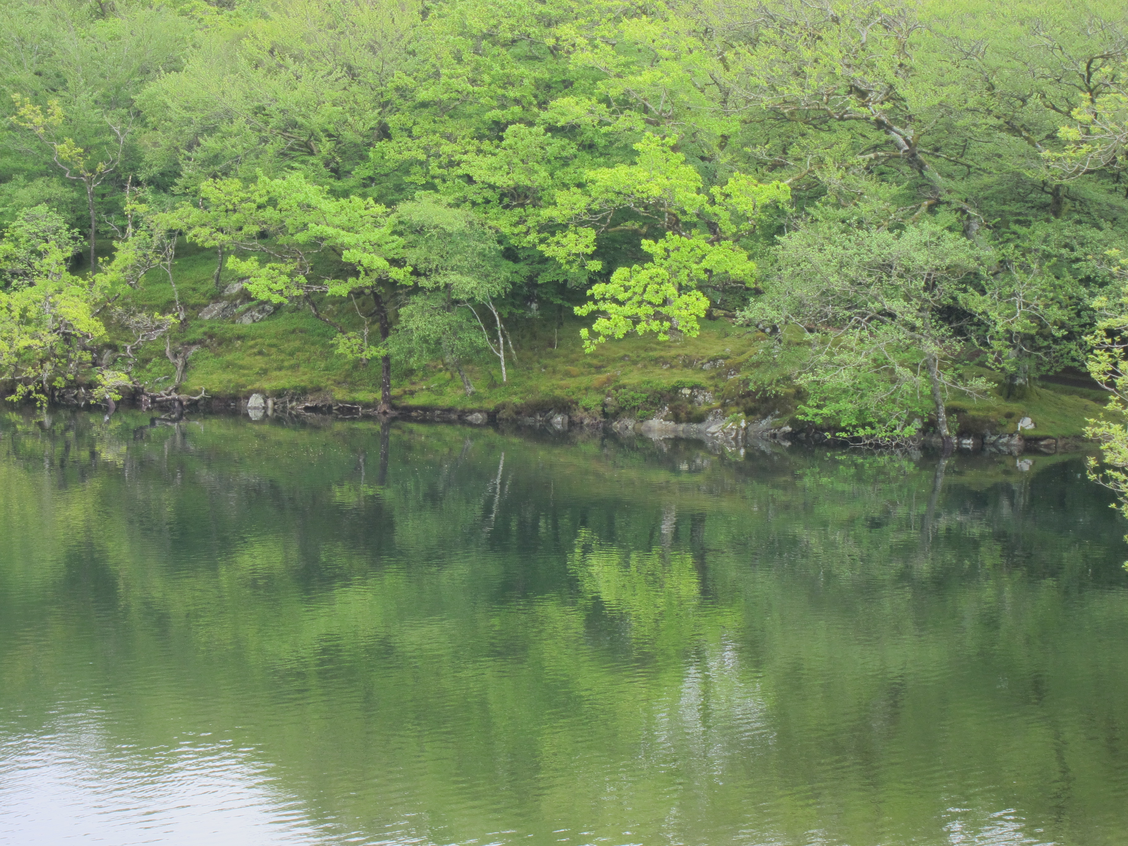 United Kingdom Wales Snowdonia, Mawddach/Dolgeallau Area, , Walkopedia