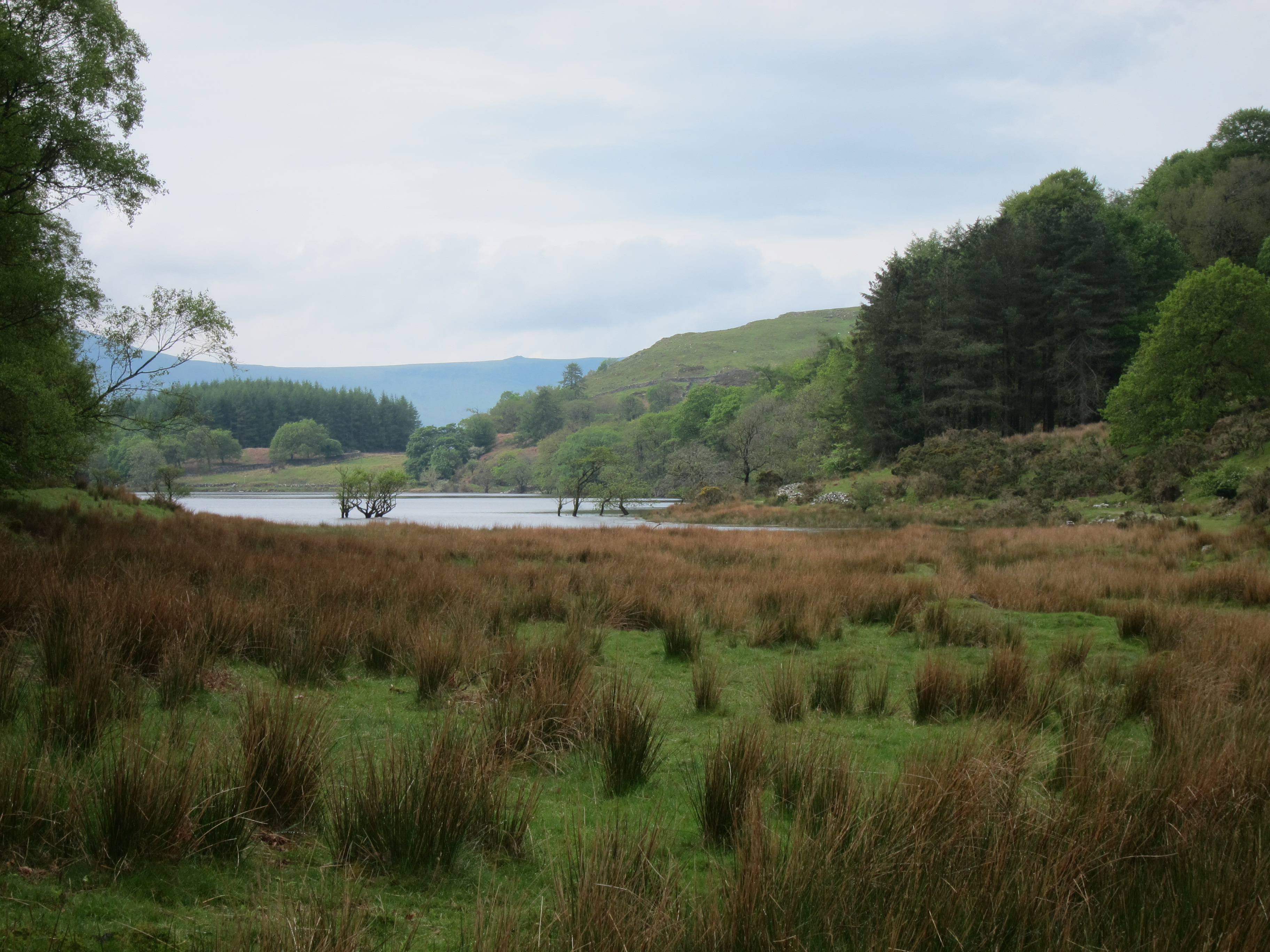 United Kingdom Wales Snowdonia, Mawddach/Dolgeallau Area, , Walkopedia