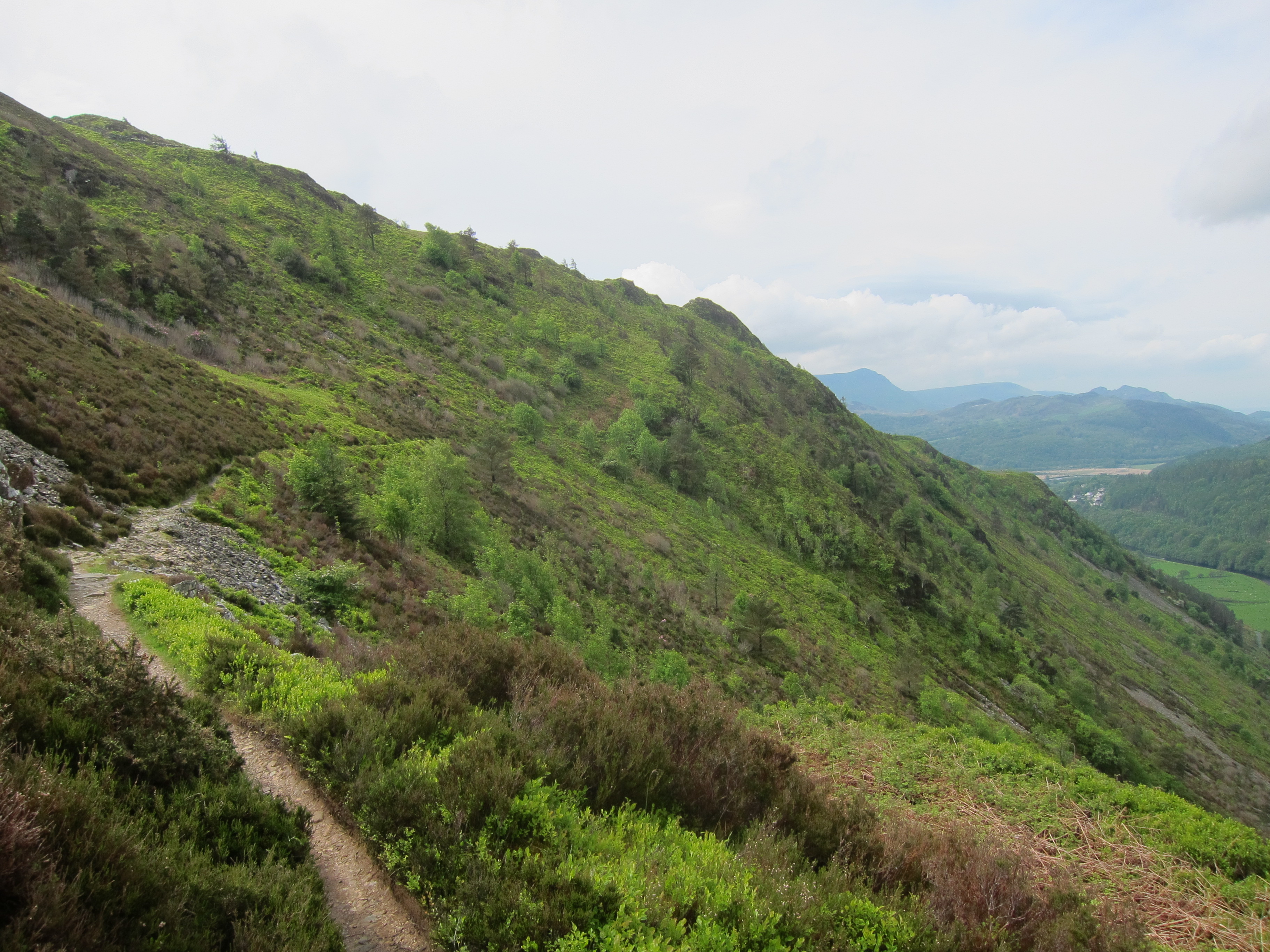 United Kingdom Wales Snowdonia, Mawddach/Dolgeallau Area, , Walkopedia