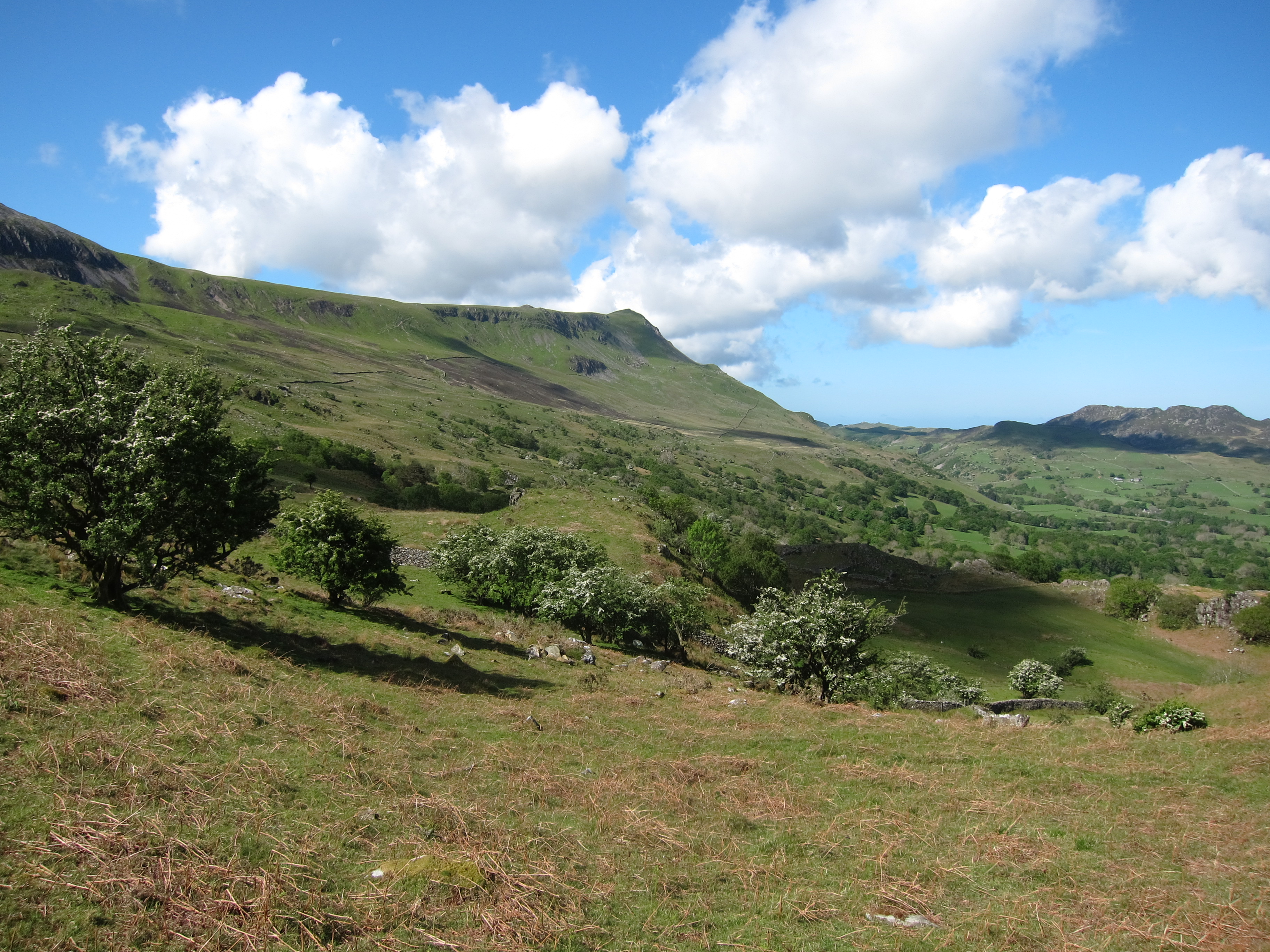 United Kingdom Wales Snowdonia, Cadair Idris, , Walkopedia