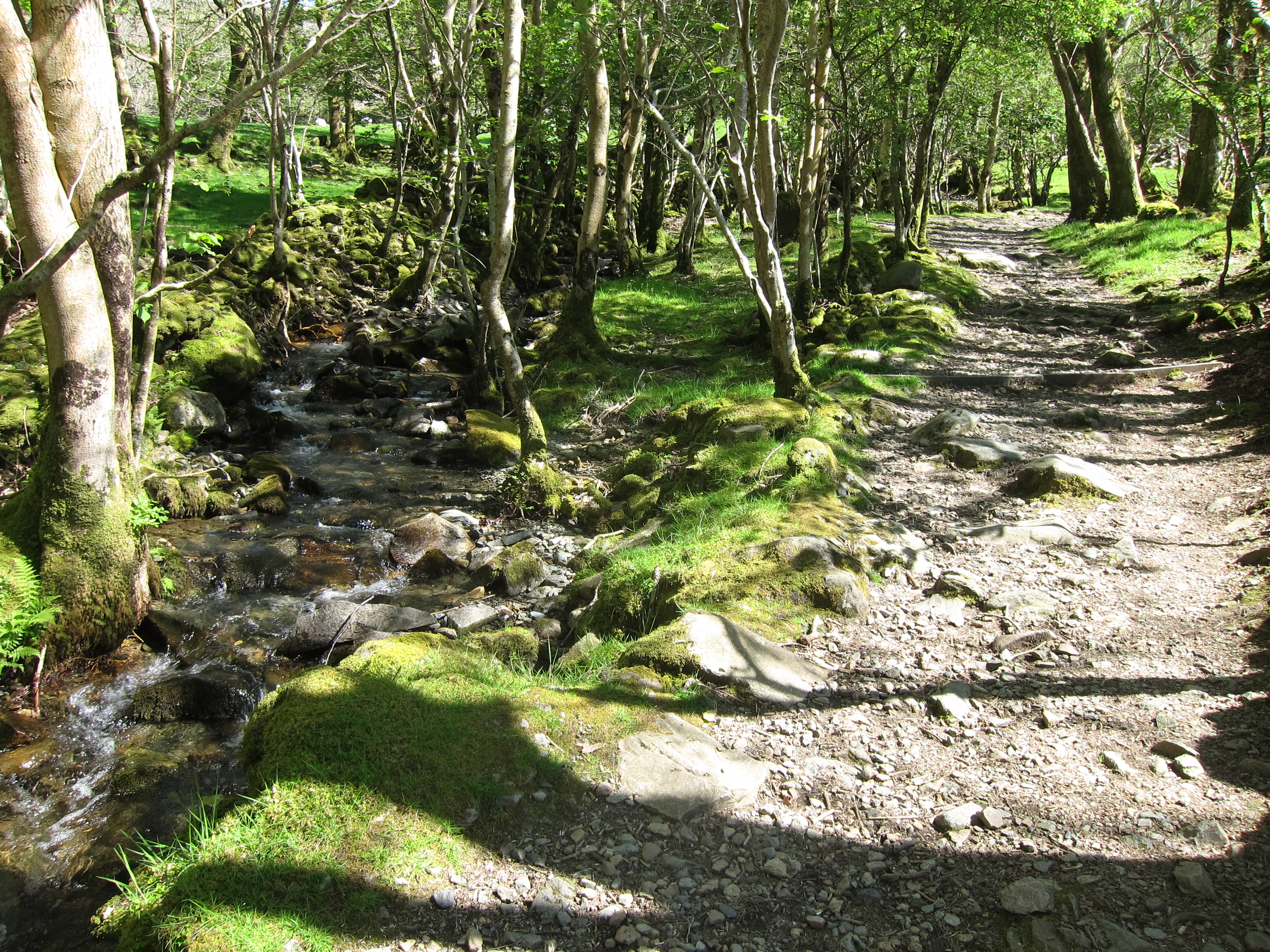 United Kingdom Wales Snowdonia, Cadair Idris, , Walkopedia