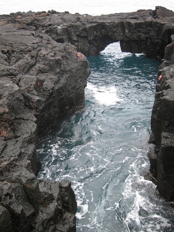 Ecuador Galapagos Islands, Galapagos Islands, Collapsed lava tubes, Puerto Egas, San Salvador, Walkopedia