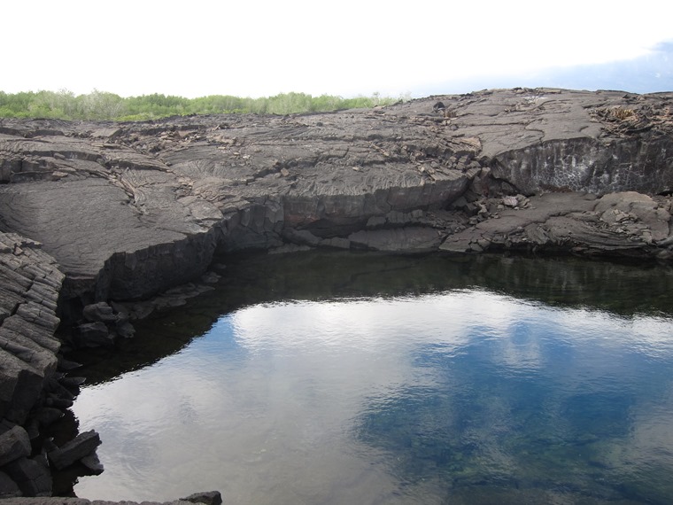 Ecuador Galapagos Islands, Galapagos Islands, Collapsed lava field, Punta Espinoza, Fernandina, Walkopedia