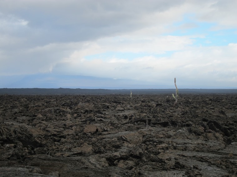 Ecuador Galapagos Islands, Galapagos Islands, Lava field, Punta Moreno, Isabela, Walkopedia