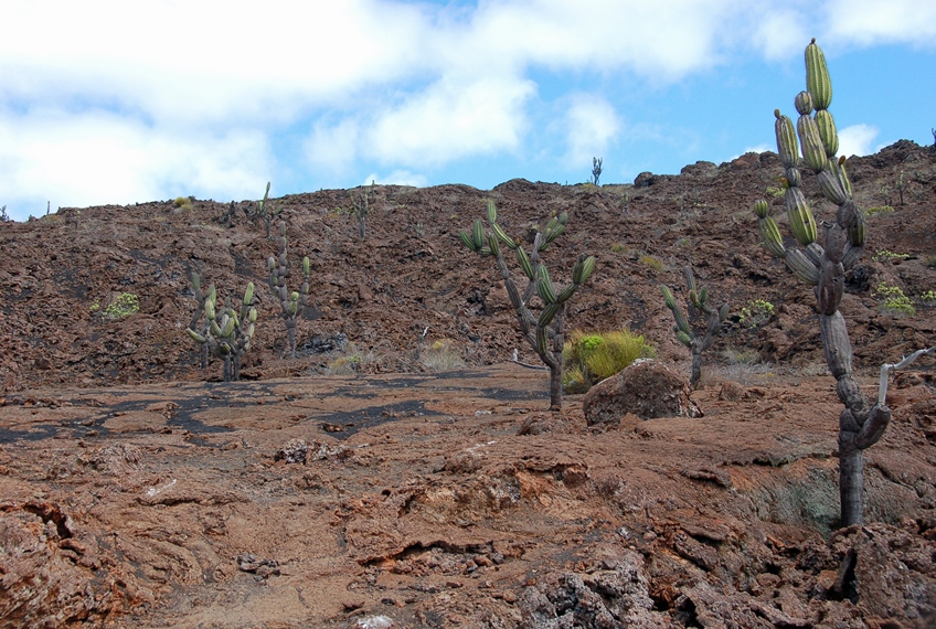 Ecuador Galapagos Islands, Galapagos Islands, Hiking Sierra Negra volcano, Walkopedia