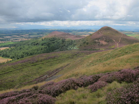 United Kingdom Scotland Borders, The Borders, Eildon Hills - middle and south hills from north hill, Walkopedia