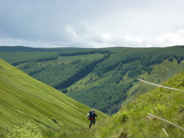 Southern Uplands Way: Another walker - © Flickr user Andrew Bowden
