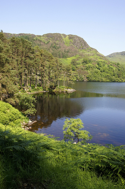 United Kingdom Scotland Borders, Southern Uplands Way, Loch Trool, Walkopedia