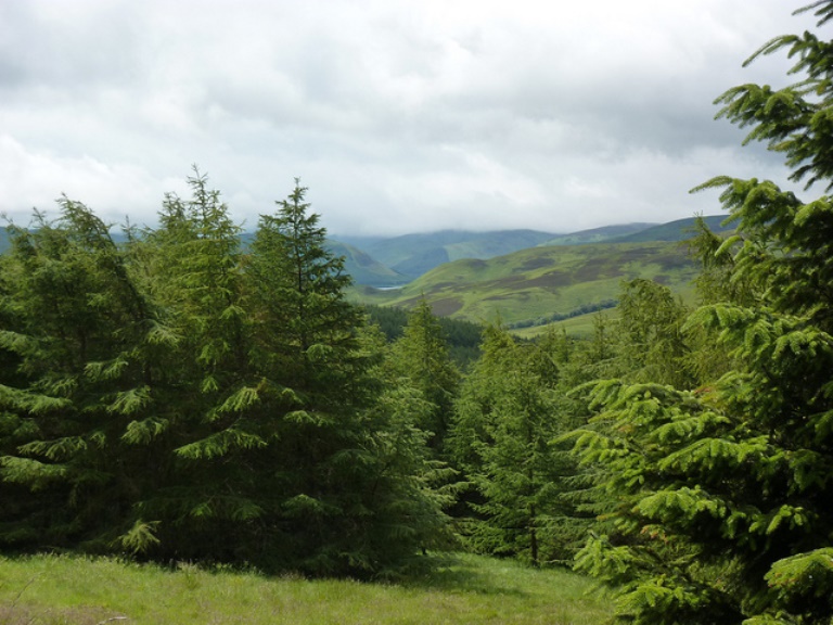 United Kingdom Scotland Borders, Southern Uplands Way, St Marys Loch in the distance , Walkopedia